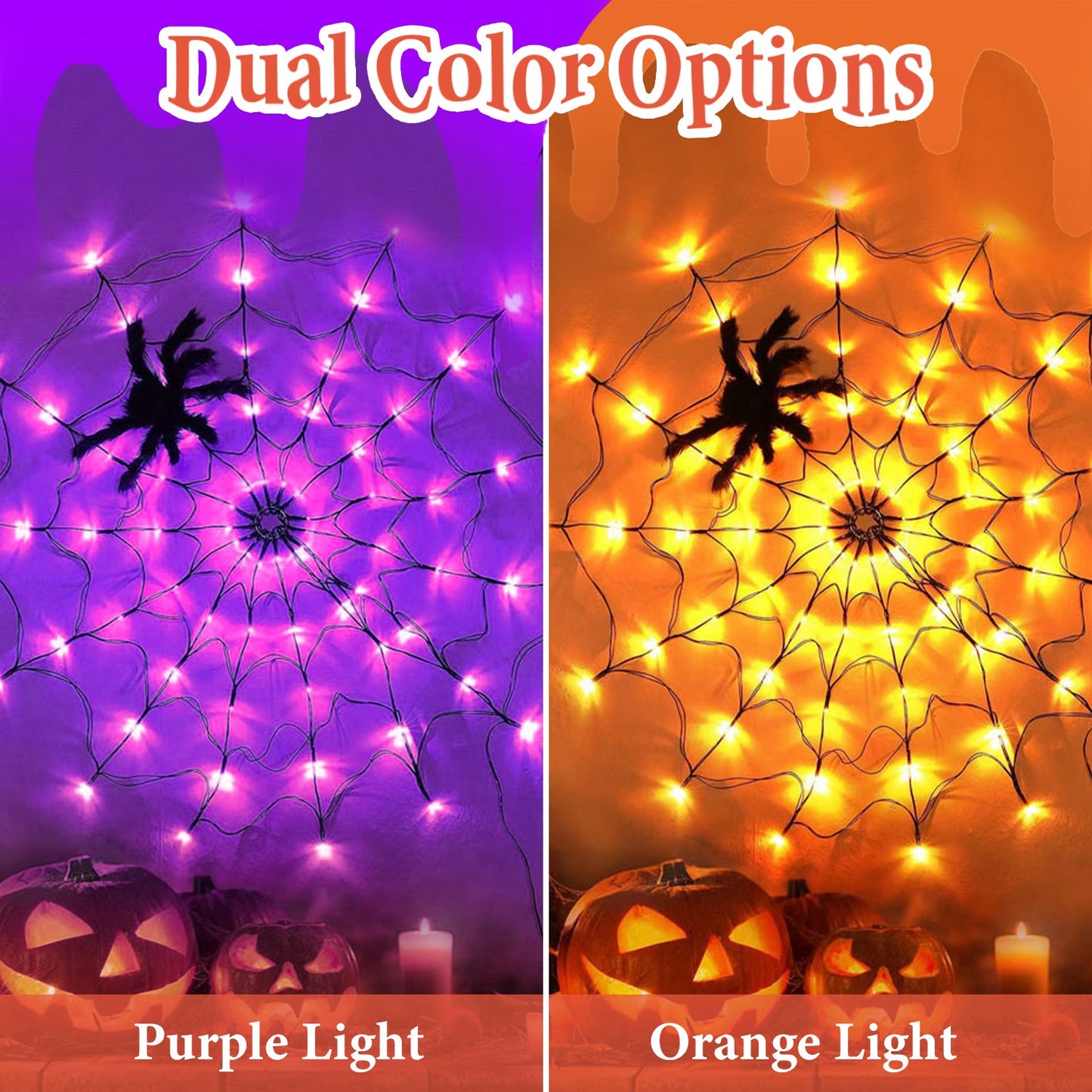 eff61fa86abb29c94e08d57a7899c9d8